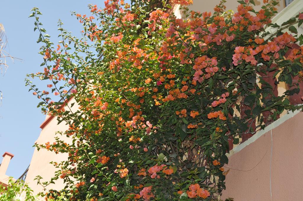 Ferienwohnung Zina Marrakesch Zimmer foto